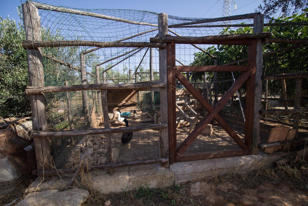 Biancolivo Gallipoli In Salento Bagian luar foto